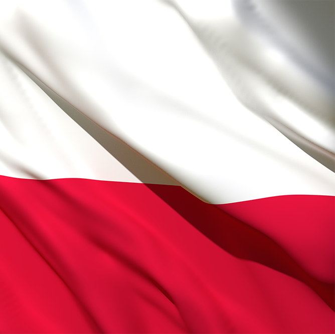 Poland Market Review, Q1 2024: head-to-head with banking deposits, RBI debuts warrants
